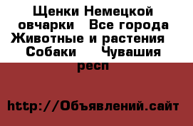 Щенки Немецкой овчарки - Все города Животные и растения » Собаки   . Чувашия респ.